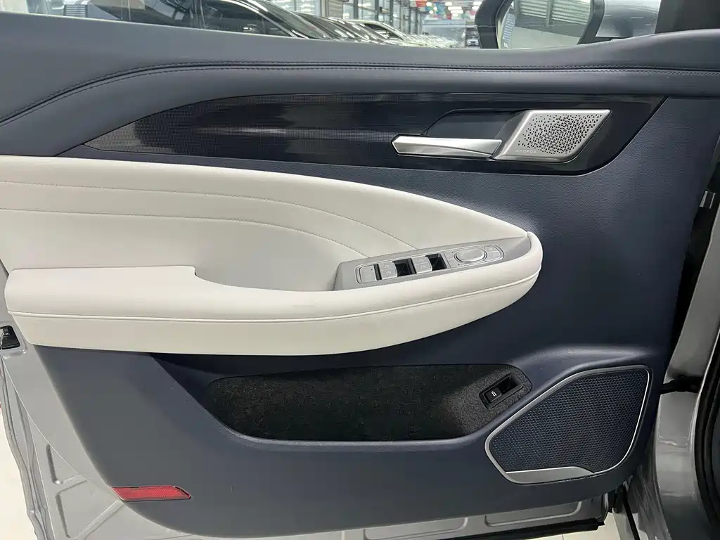 ARCFOX EXTREME FOX POLAR FOX ALPHA T