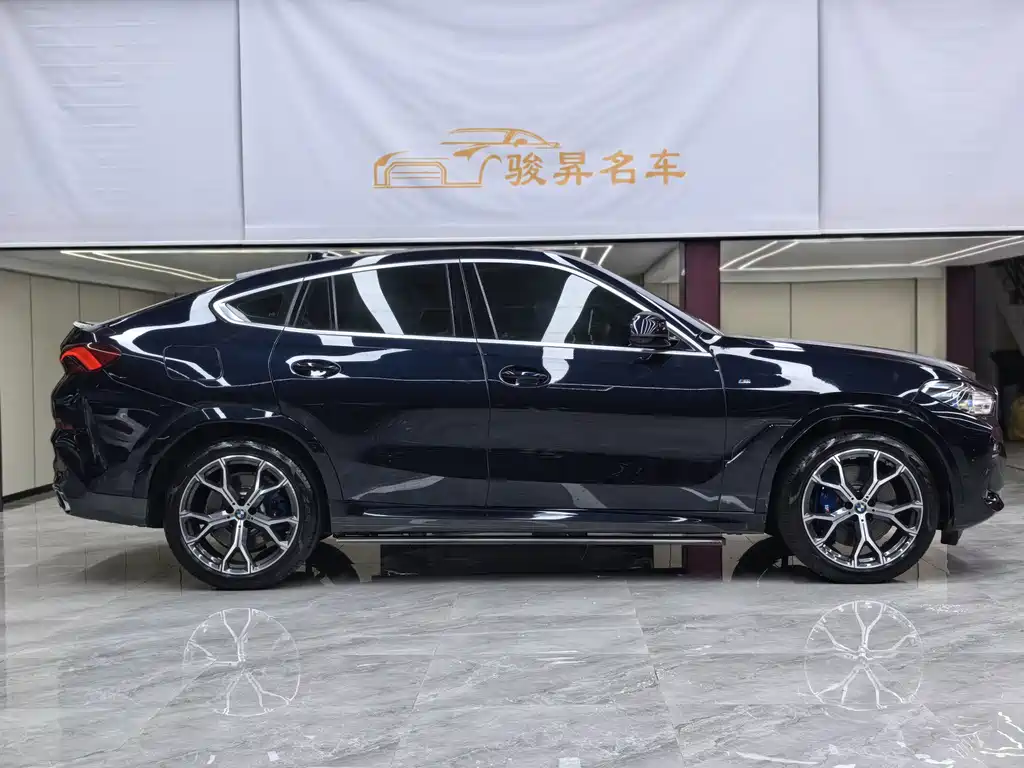 BMW X6 — миниатюра 8