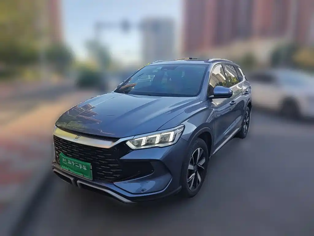 BYD Pro New Energy