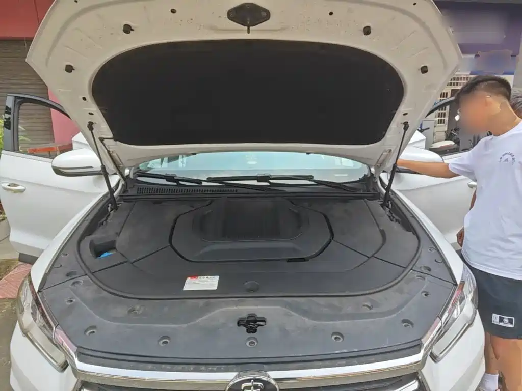 BYD Pro New Energy — миниатюра 20