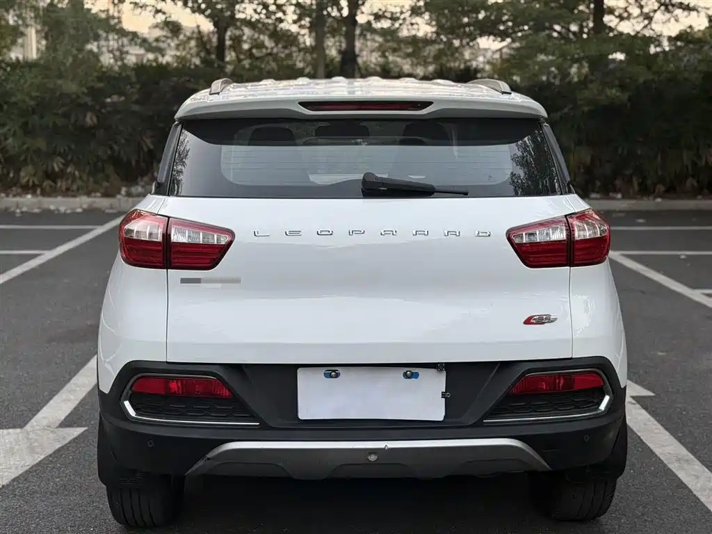 CHEETAH CARS CHEETAH CS9