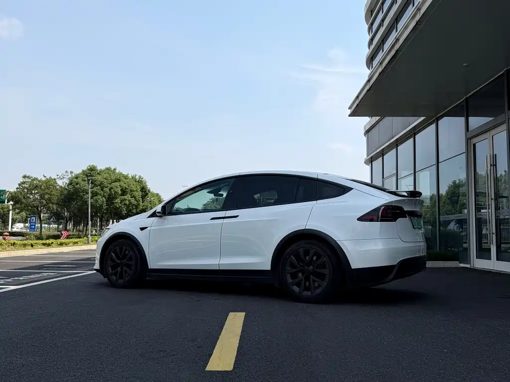 Tesla Model X — миниатюра 5