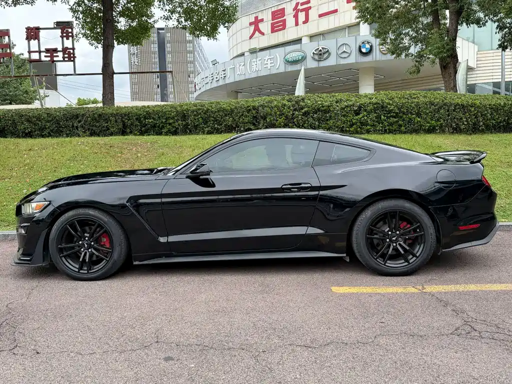 Ford Mustang — миниатюра 3