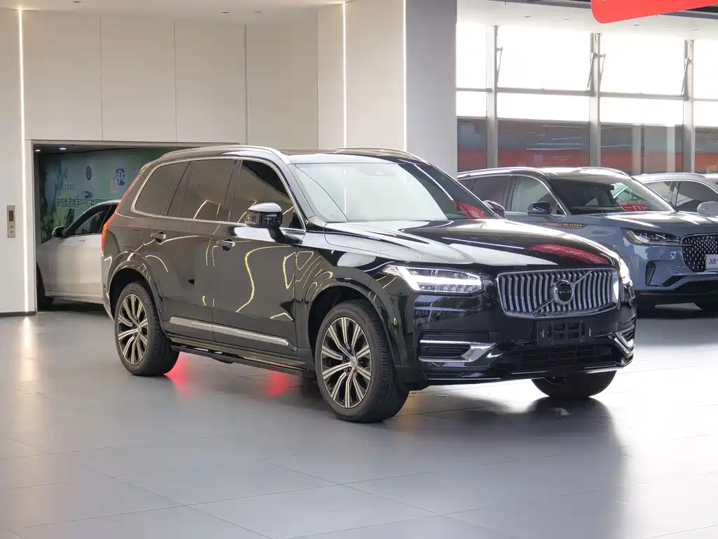 Volvo XC90 — миниатюра 3