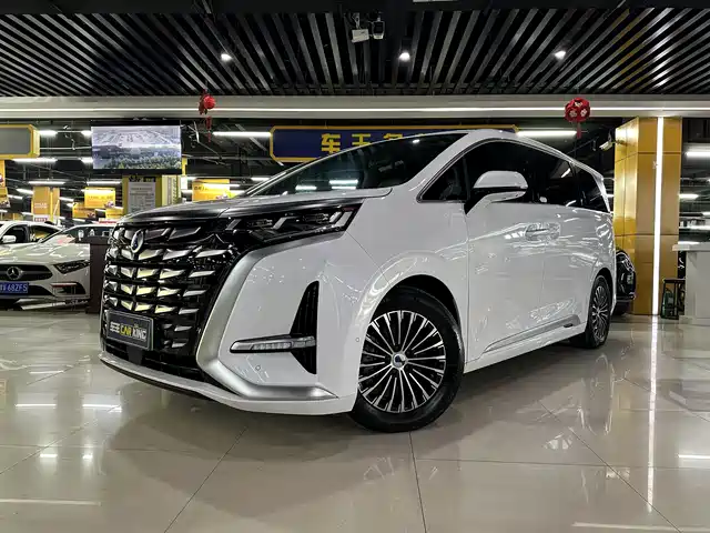 2023 Denza D9