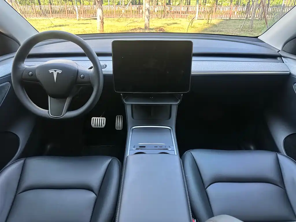 Tesla Model Y — миниатюра 5