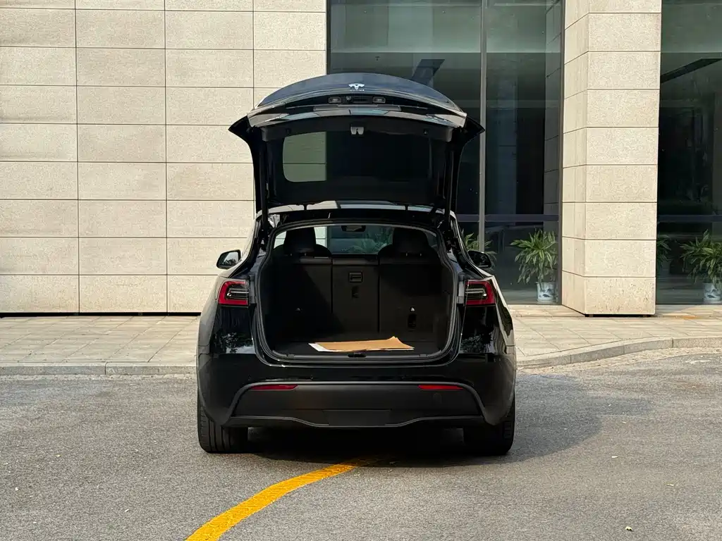 Tesla Model Y — миниатюра 16