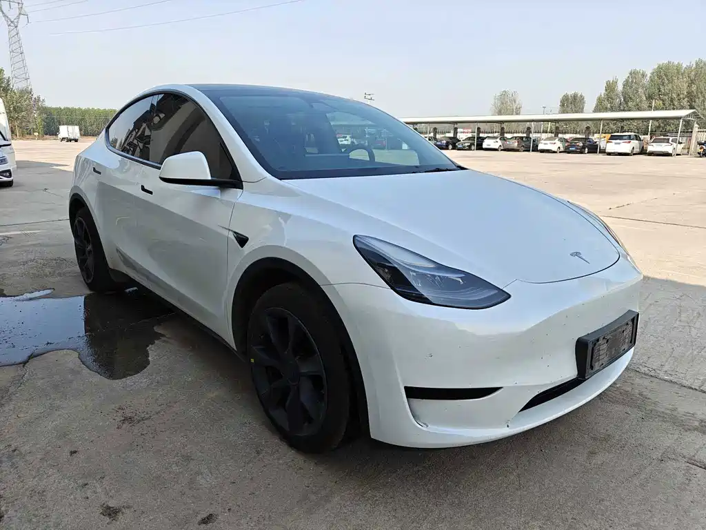Tesla Model Y — миниатюра 3