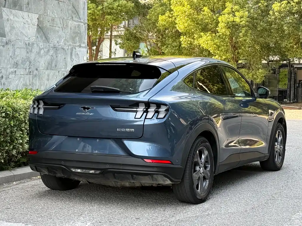 Ford Mustang Mach-E — миниатюра 6