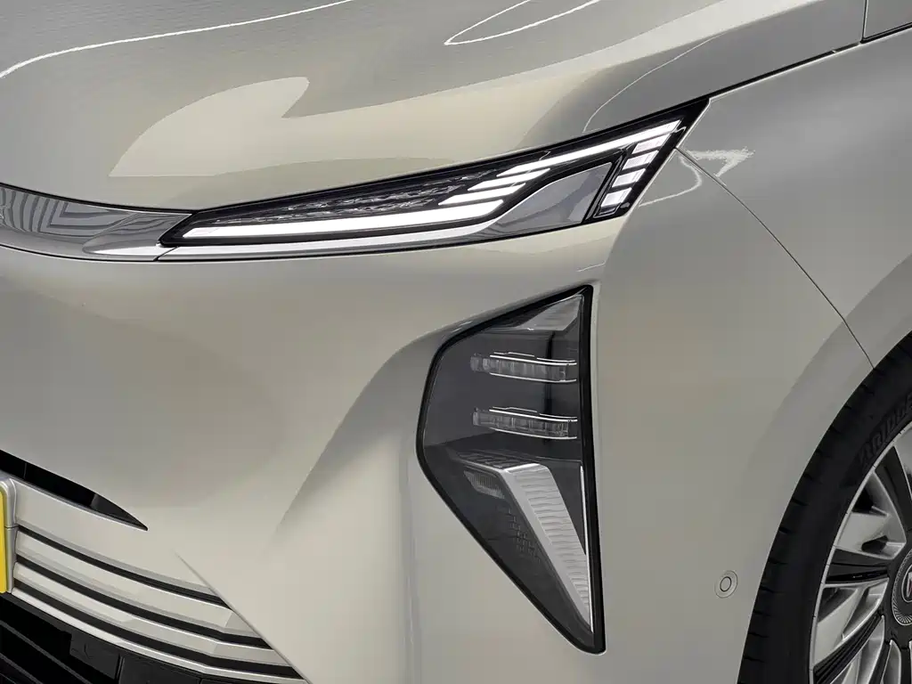 Buick Electra Encasa — миниатюра 18