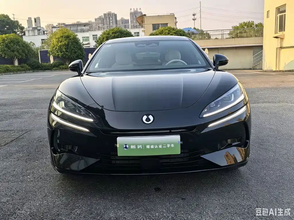Denza Denza Z9 — миниатюра 2