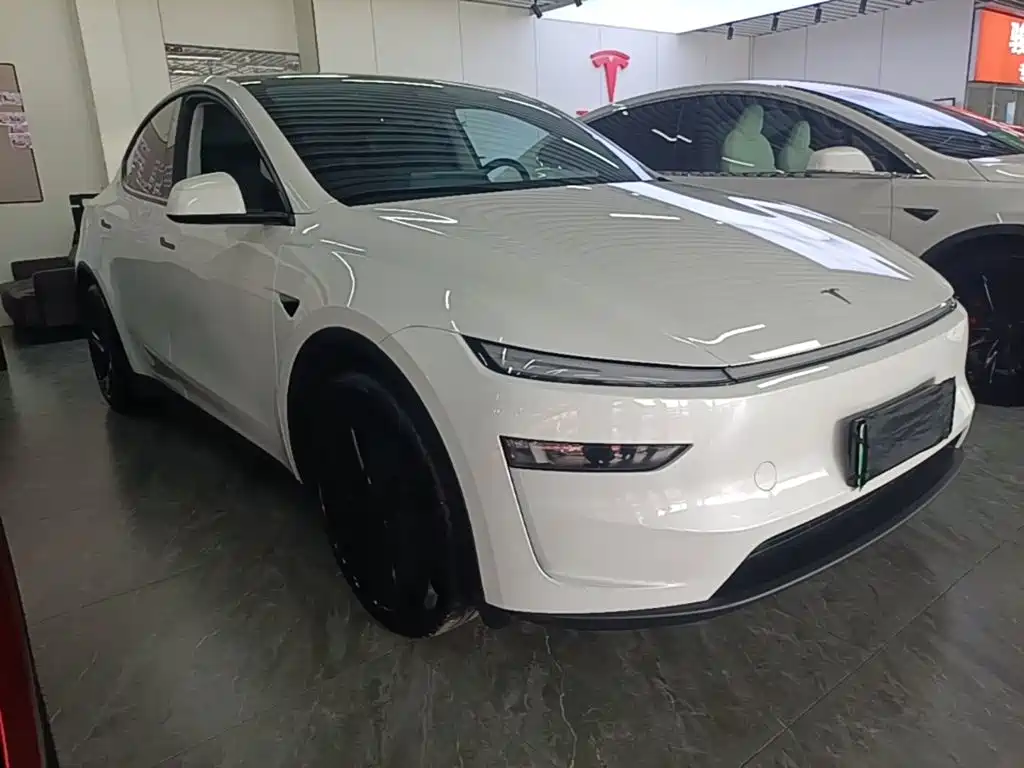 Tesla Model Y — миниатюра 4