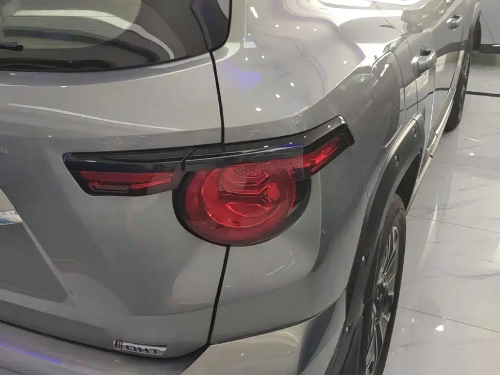 Haval Big Dog PLUS New Energy — миниатюра 8