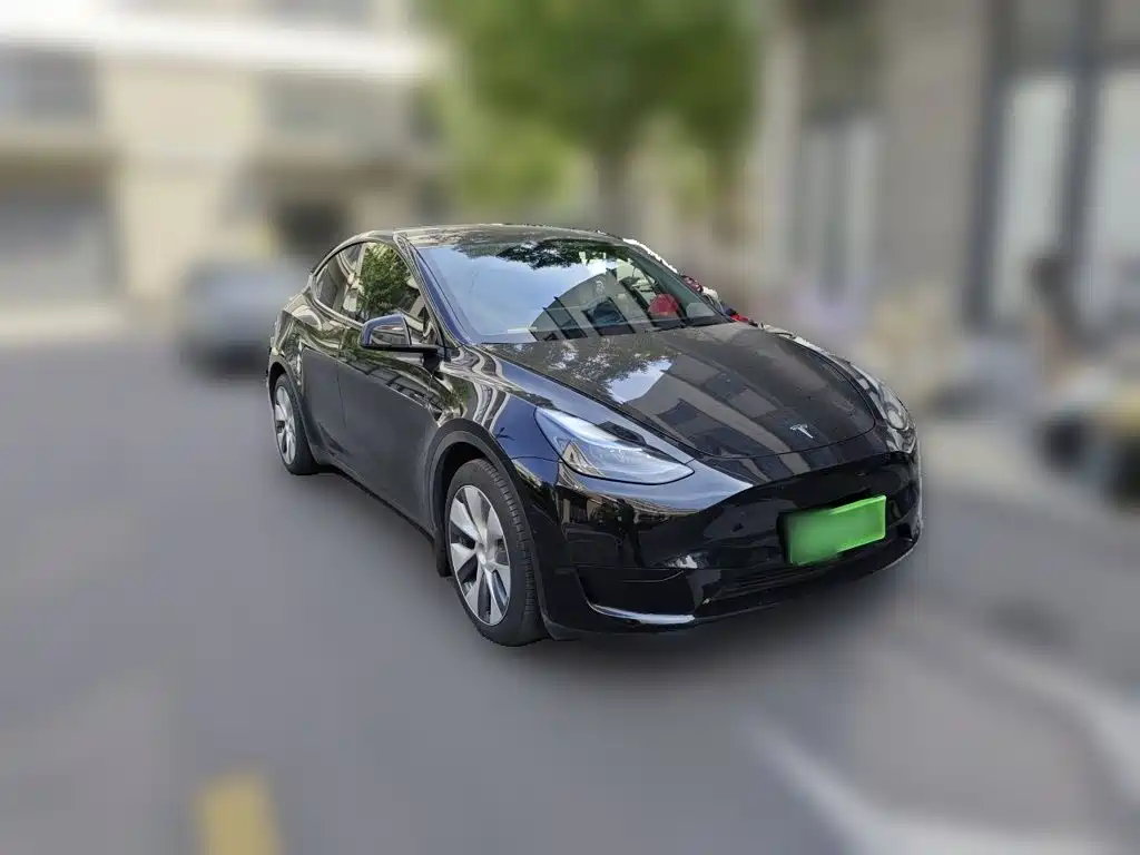 Tesla Model Y — миниатюра 3