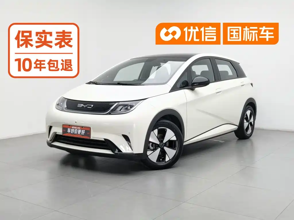 BYD Dolphin