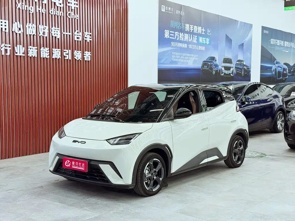 Byd Seagull 2024