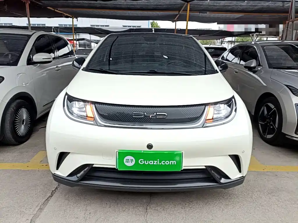 BYD Dolphin — миниатюра 3