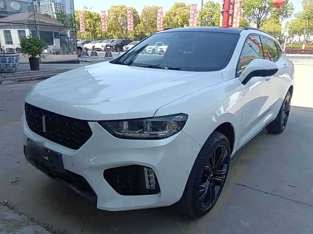 Wey Wey VV5 2019
