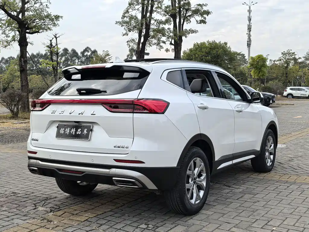 HAVAL H6