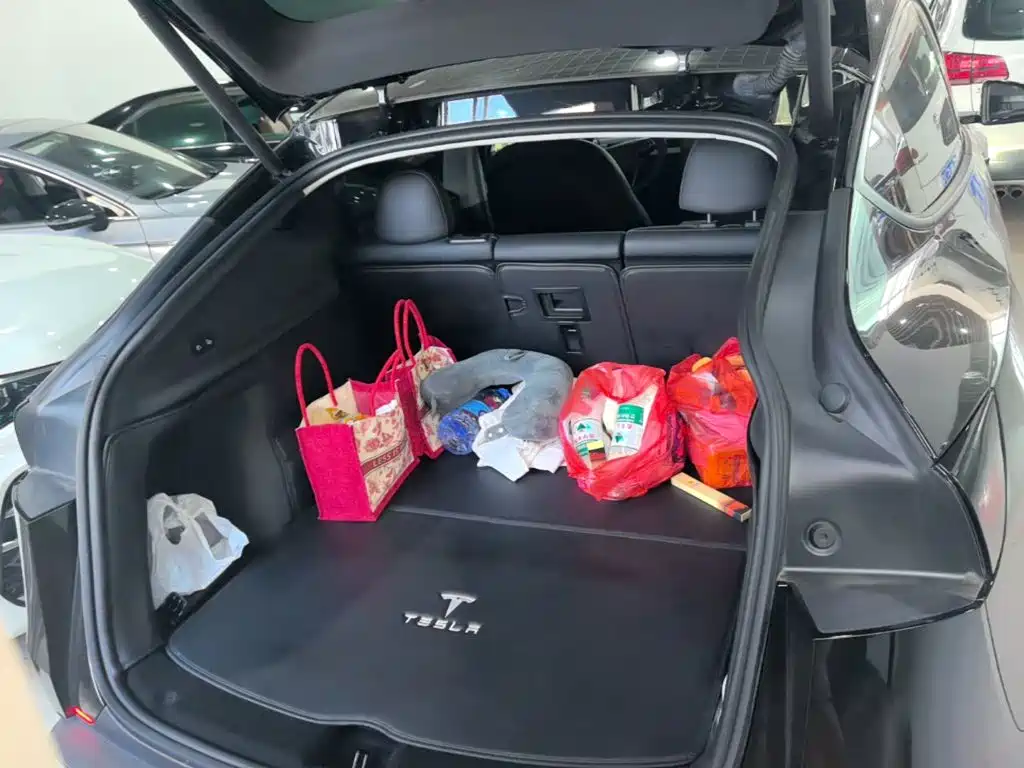 Tesla Model Y — миниатюра 19