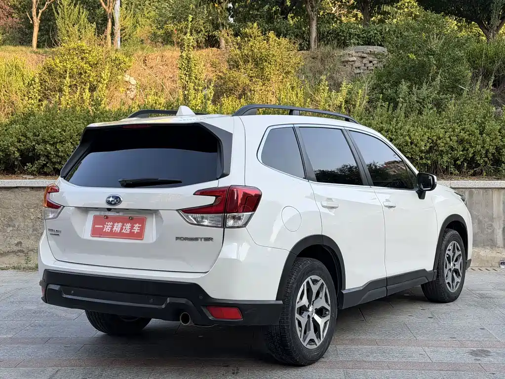Subaru Forester — миниатюра 4