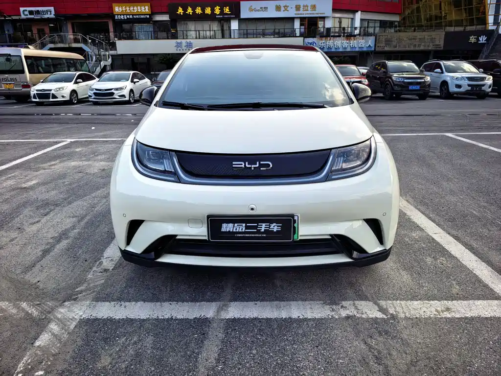 BYD Dolphin — миниатюра 2