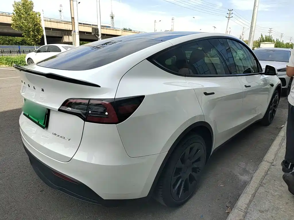 Tesla Model Y — миниатюра 7