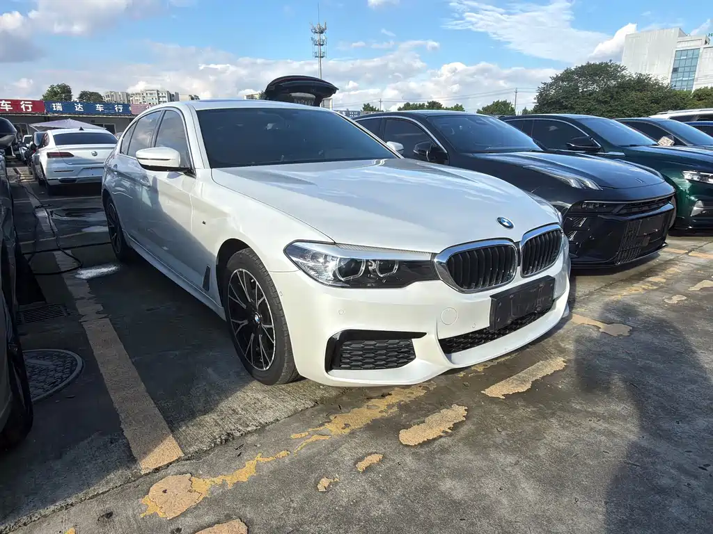 BMW 5 Series — миниатюра 3