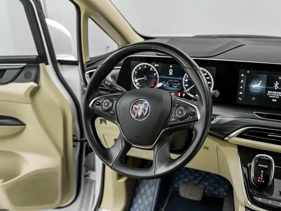 Buick GL8 — миниатюра 8