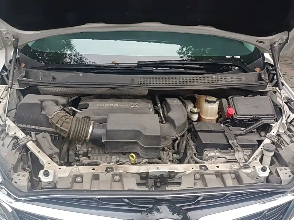 Buick GL8 — миниатюра 20