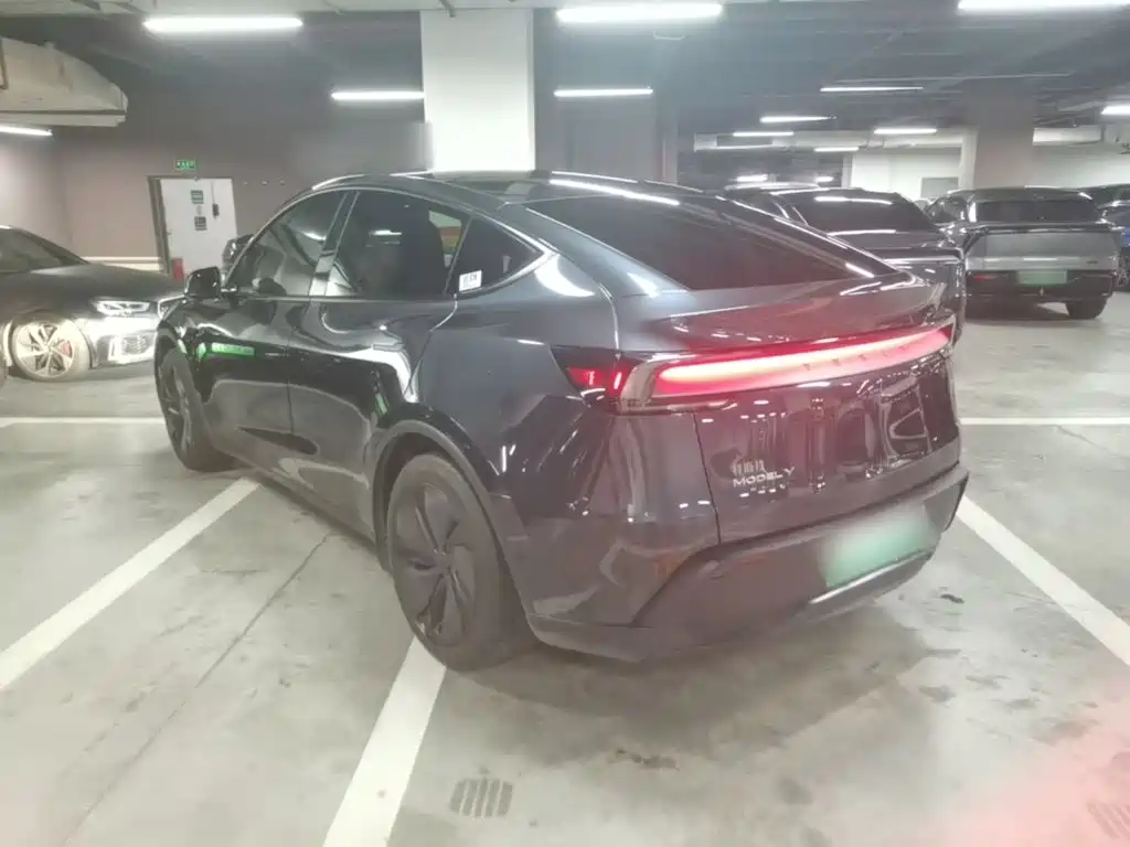 Tesla Model Y — миниатюра 5