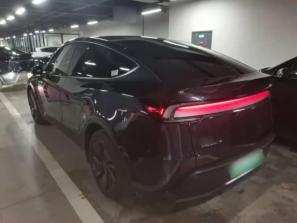 Tesla Model Y — миниатюра 5