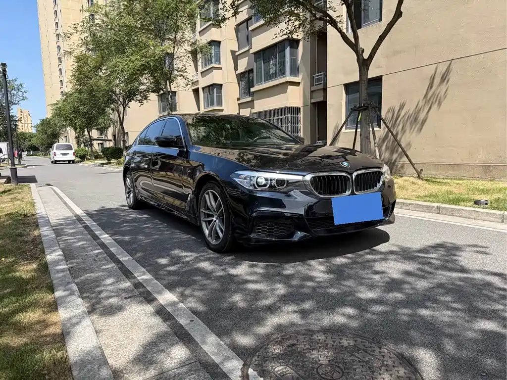 BMW 5 Series — миниатюра 3