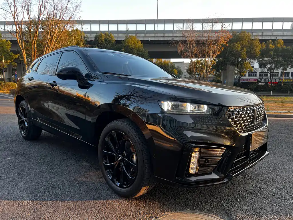 WEI PAI WEI BRAND VV7