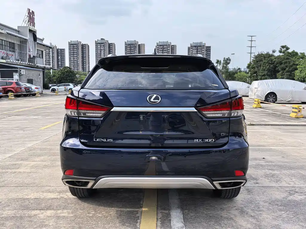 Lexus RX — миниатюра 5