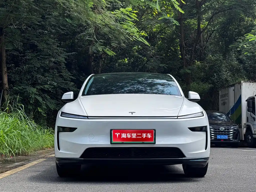 Tesla Model Y — миниатюра 4