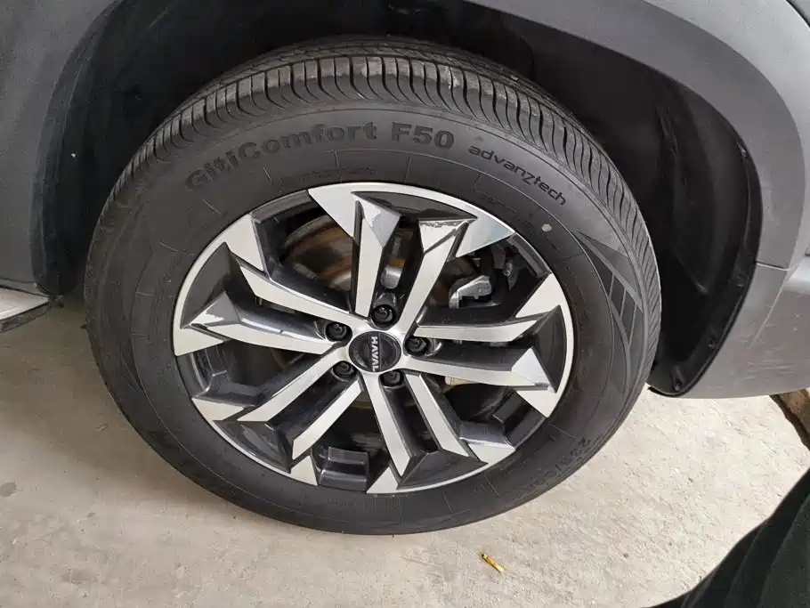Haval Big Dog — миниатюра 6