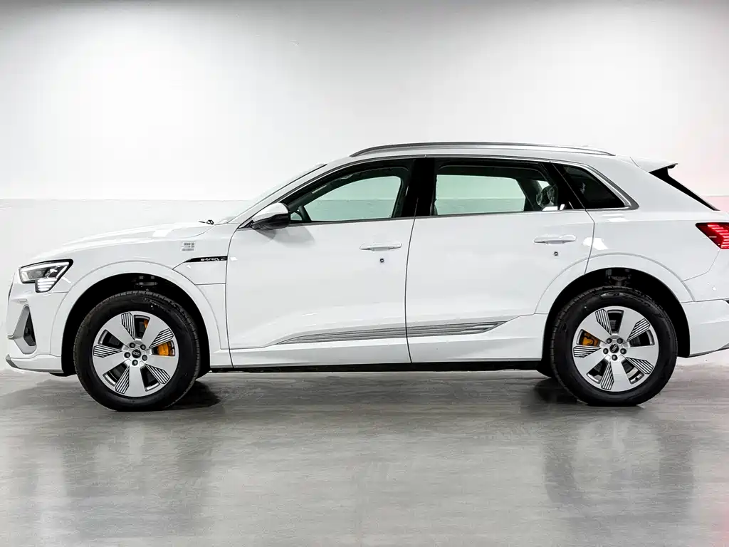 AUDI E TRON
