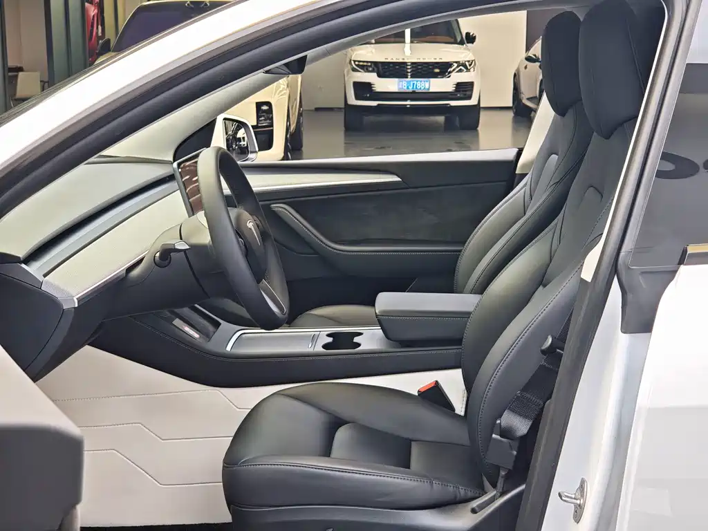 Tesla Model Y — миниатюра 5