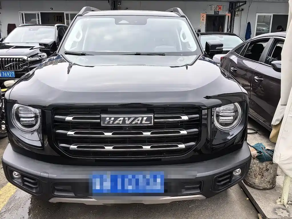 HAVAL BIG DOG