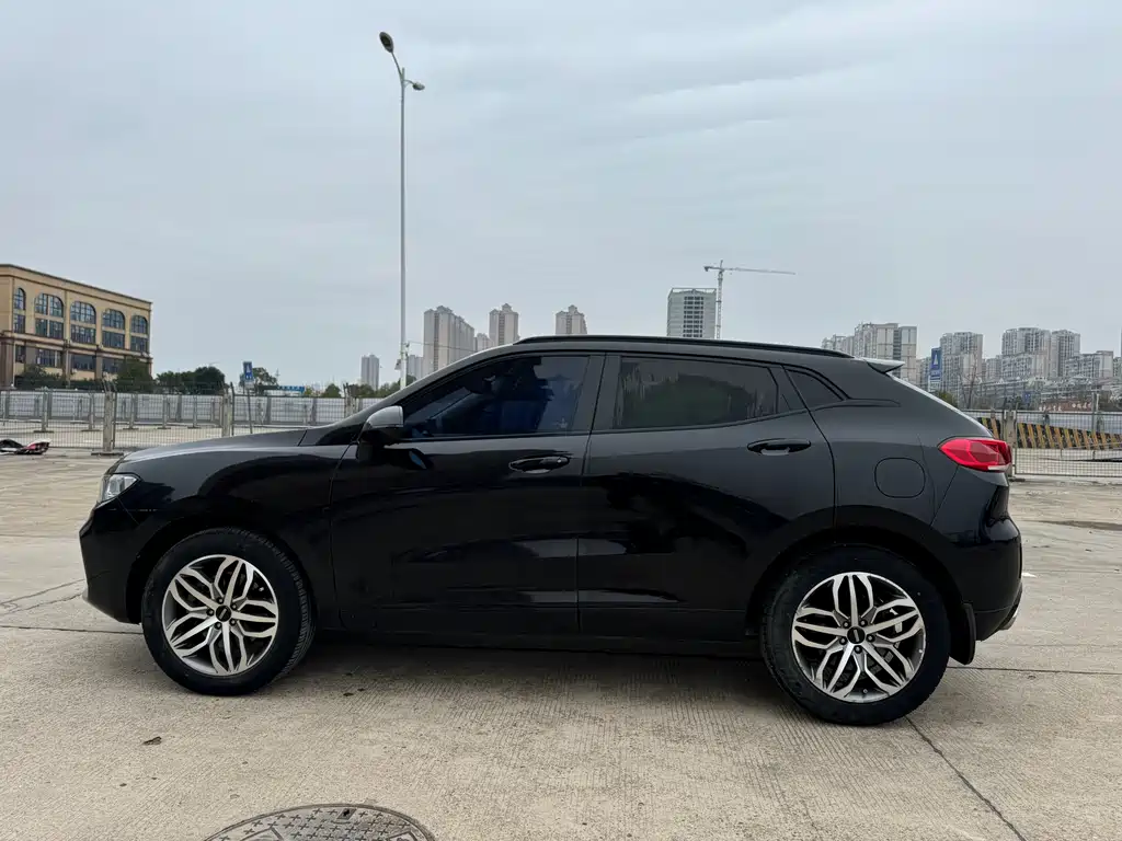 WEI PAI WEI BRAND VV5