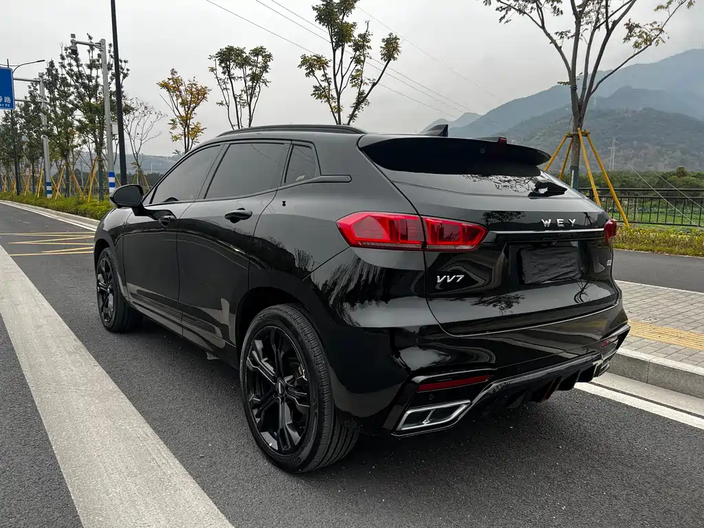 WEI PAI WEI BRAND VV7