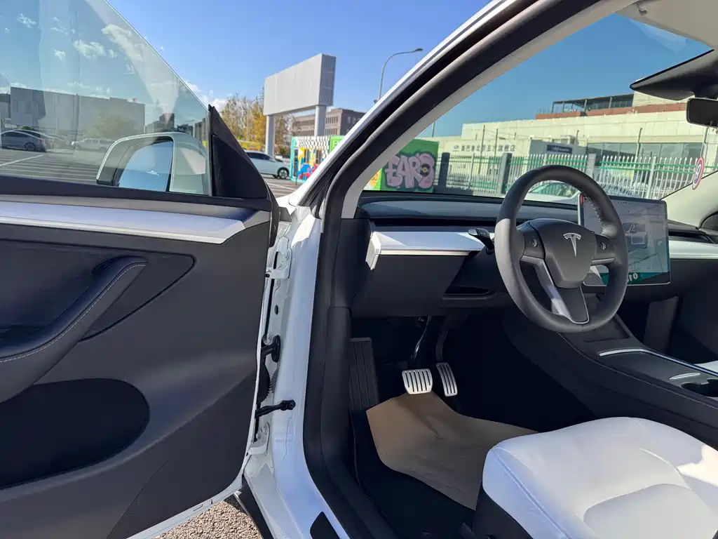 Tesla Model Y — миниатюра 5