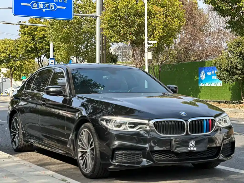BMW 5 Series 5 2020 530Li xDrive M Sport