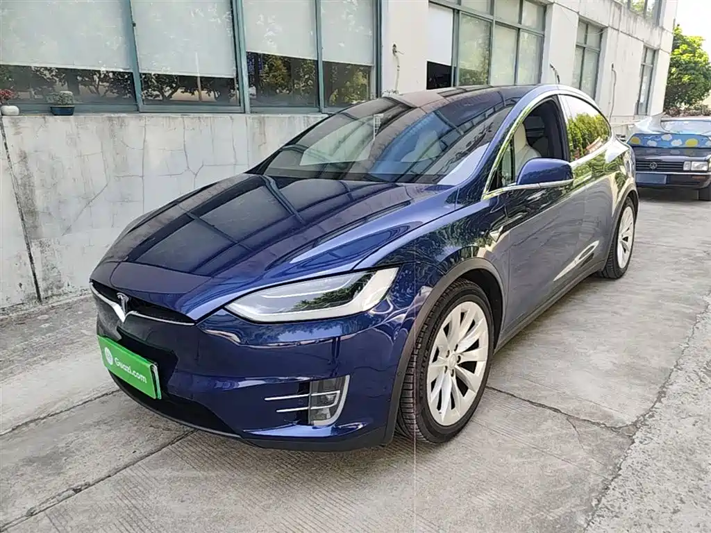 Tesla Model X 2019
