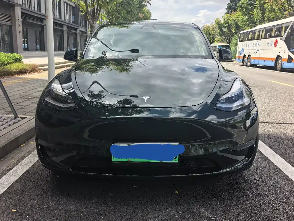 Tesla Model Y — миниатюра 3