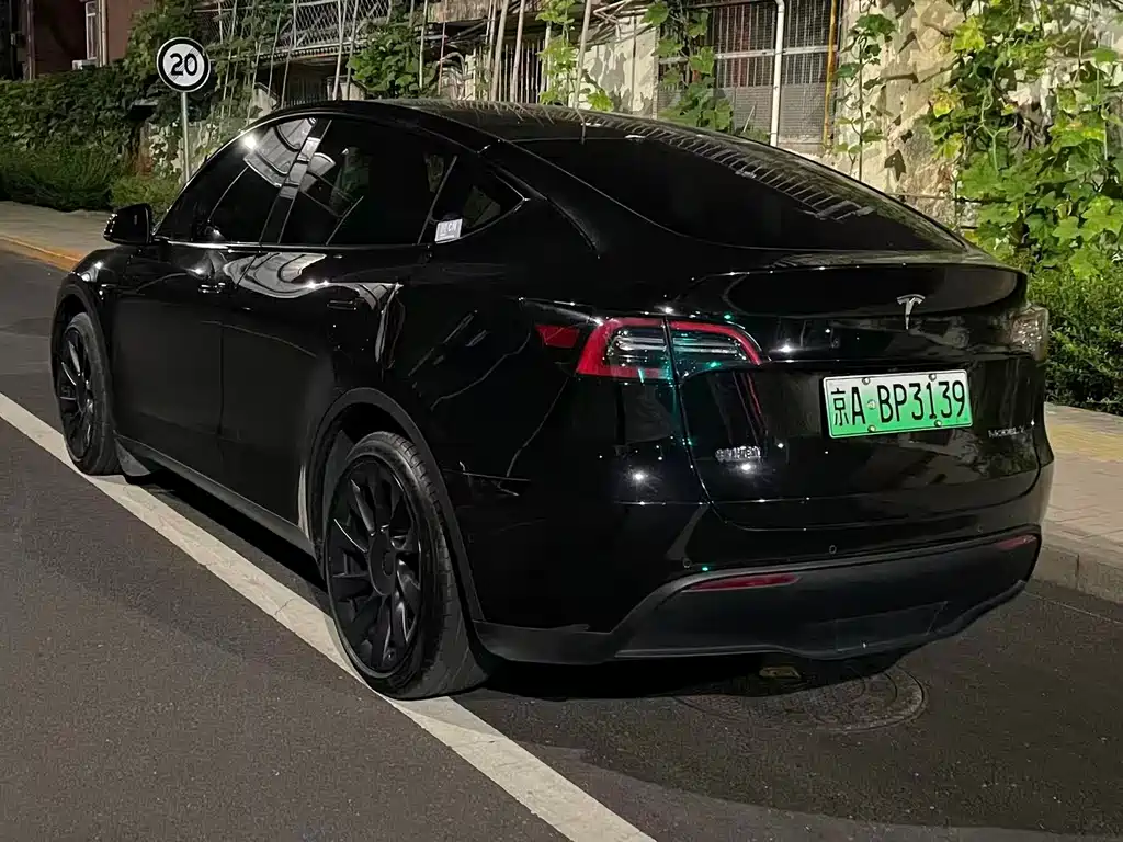 Tesla Model Y — миниатюра 8