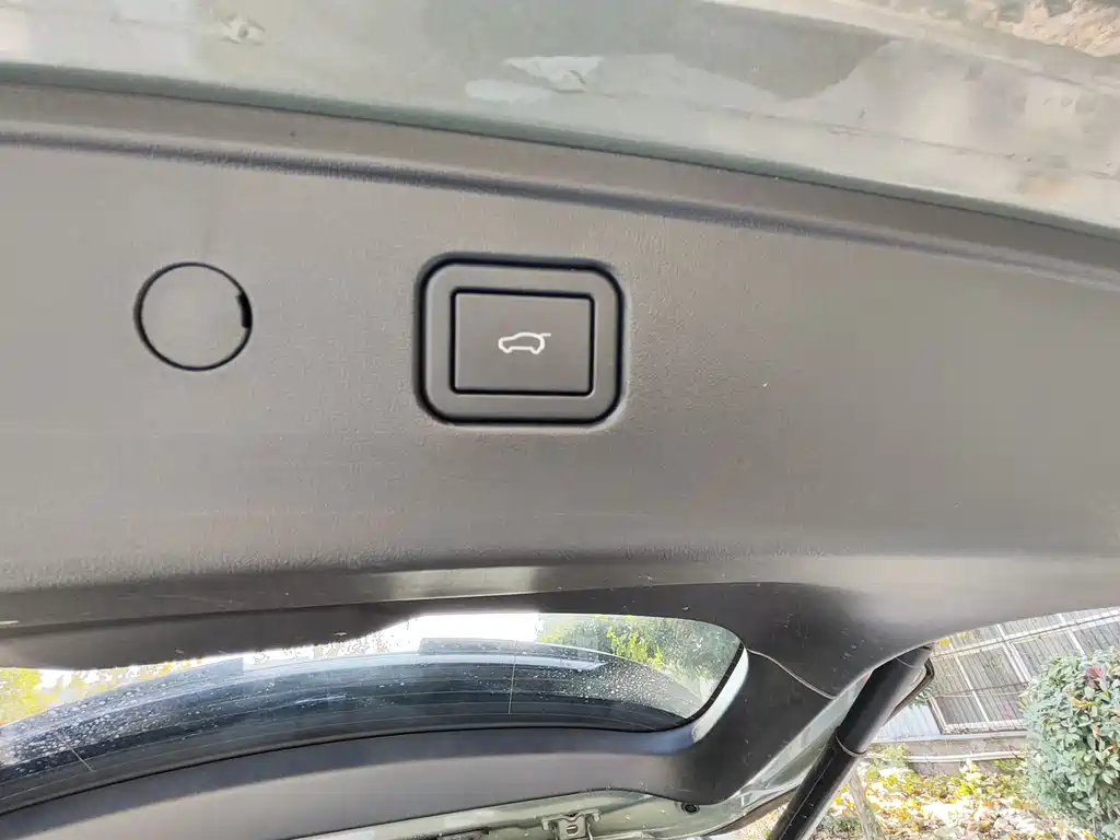 WEI PAI WEI BRAND BLUE MOUNTAIN