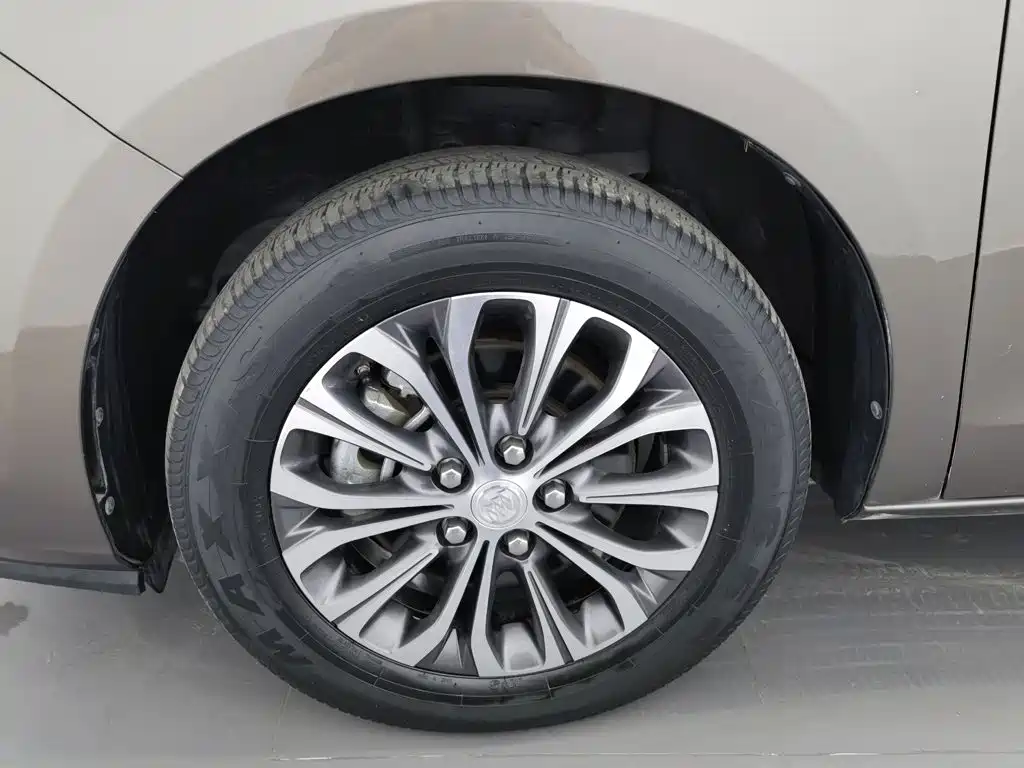 Buick GL8 — миниатюра 17