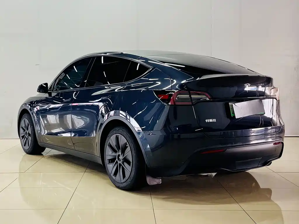 Tesla Model Y — миниатюра 8